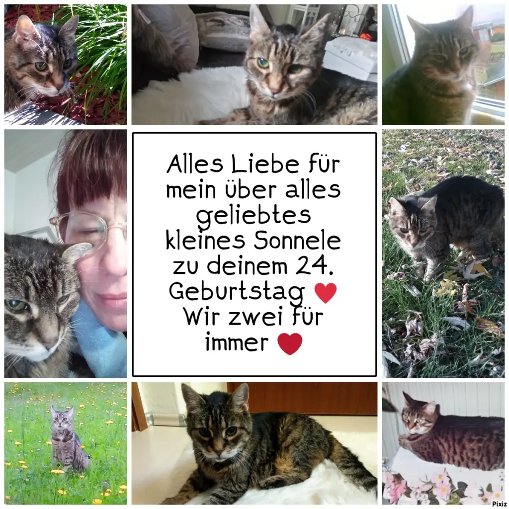 Andachtsbild von Für mein kleines Puppikind ❤️