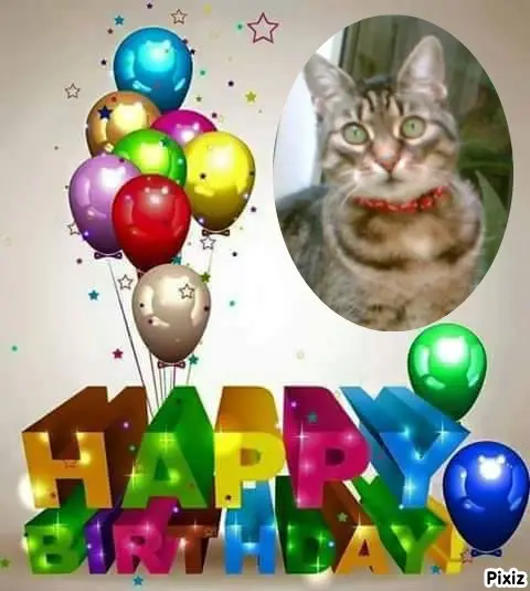 Andachtsbild von Tanja mit Timmy im Herzen 