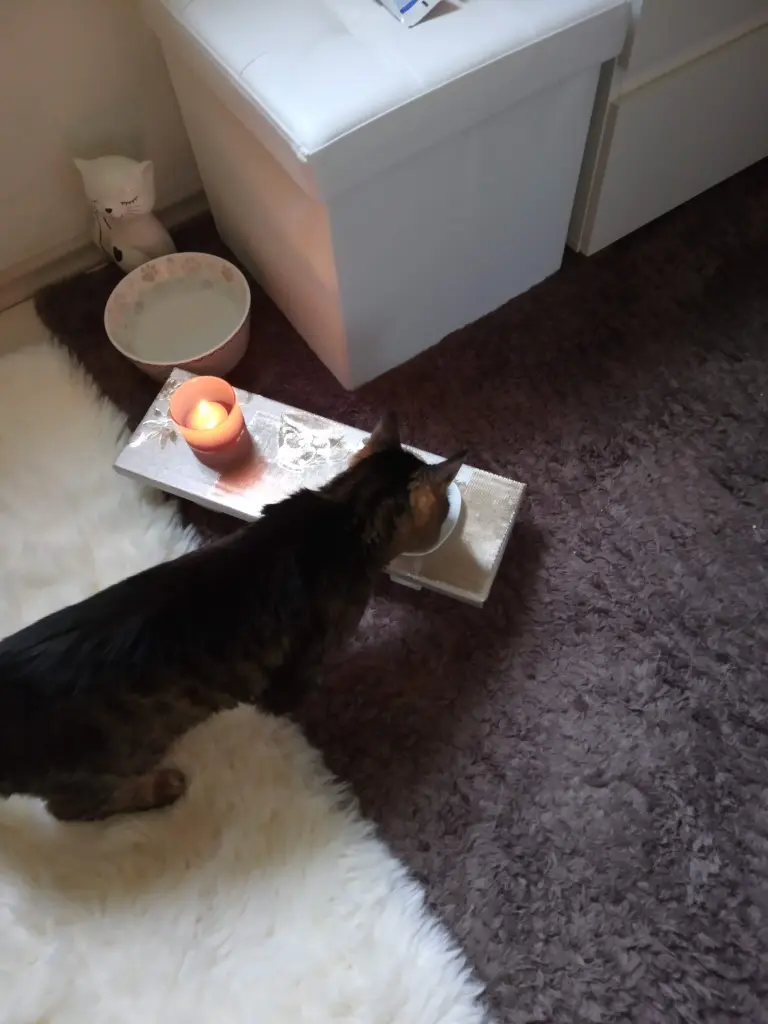 Andachtsbild von Für Dich meine kleine.Puppi♥️