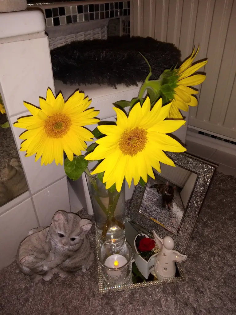 Andachtsbild von Für Dich meine kleine Maus ❤️