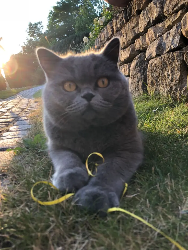 Andachtsbild von An Sisile