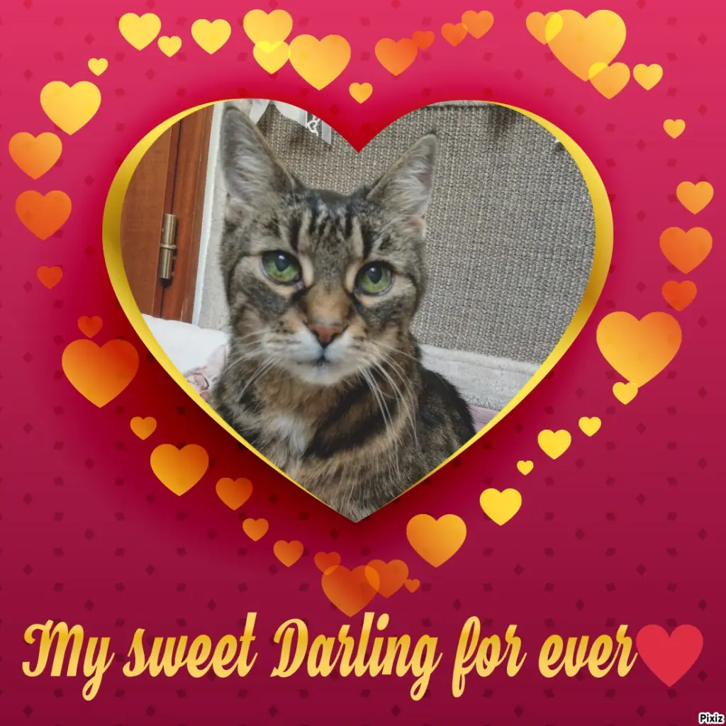 Andachtsbild von Für Dich my little Angel ♥️