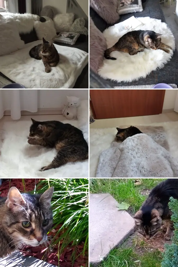 Andachtsbild von Für Dich meine kleine Mauseli ♥️