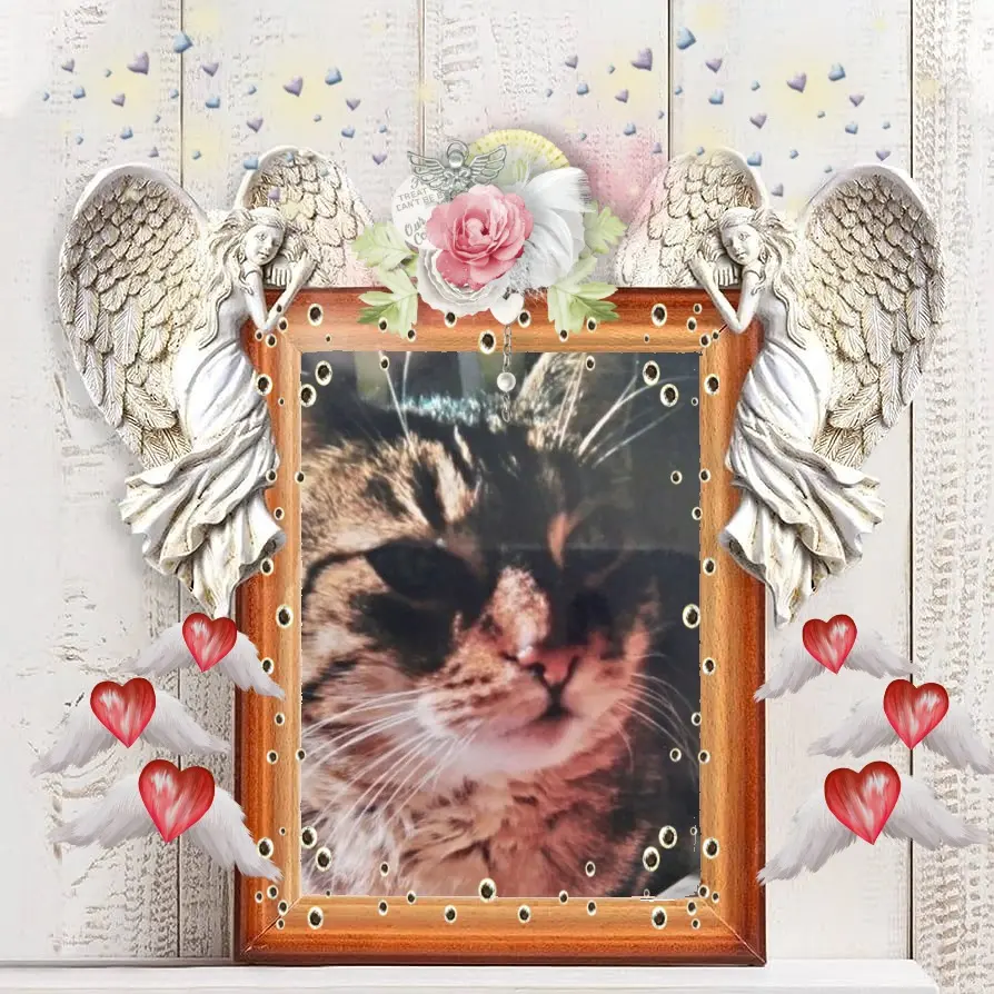 Andachtsbild von Andrea mit Minki im ♥️