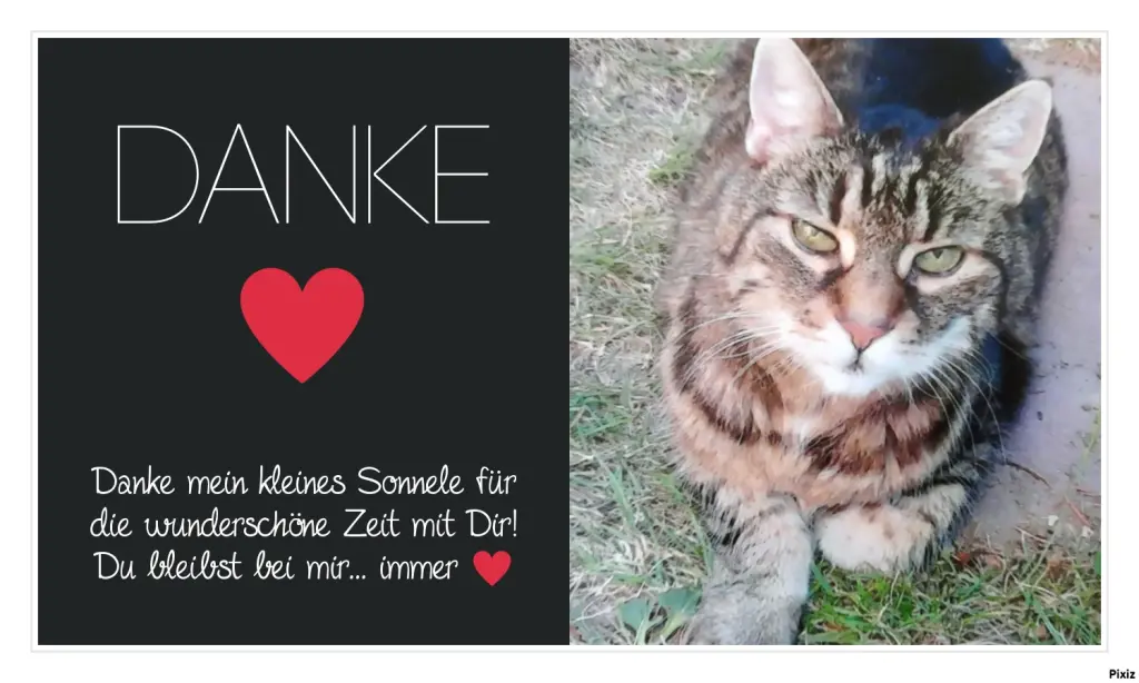 Andachtsbild von Für das liebste was es für mich gab... mein Sonnele ♥️