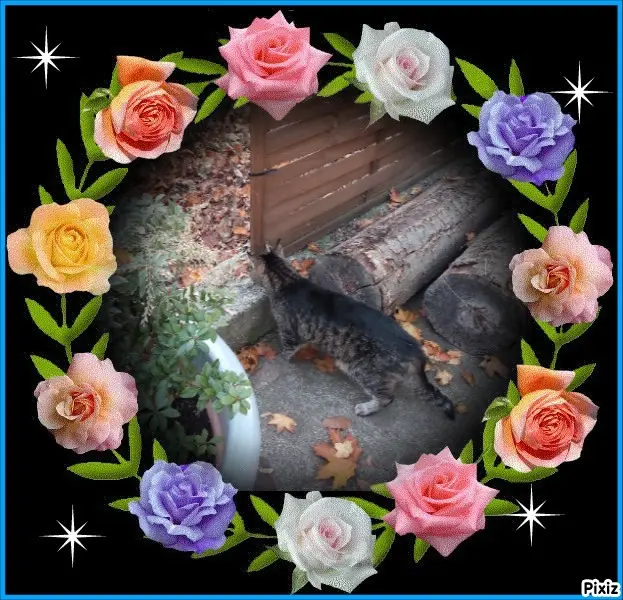 Andachtsbild von Für Dich mein kleines Puppile ♥️