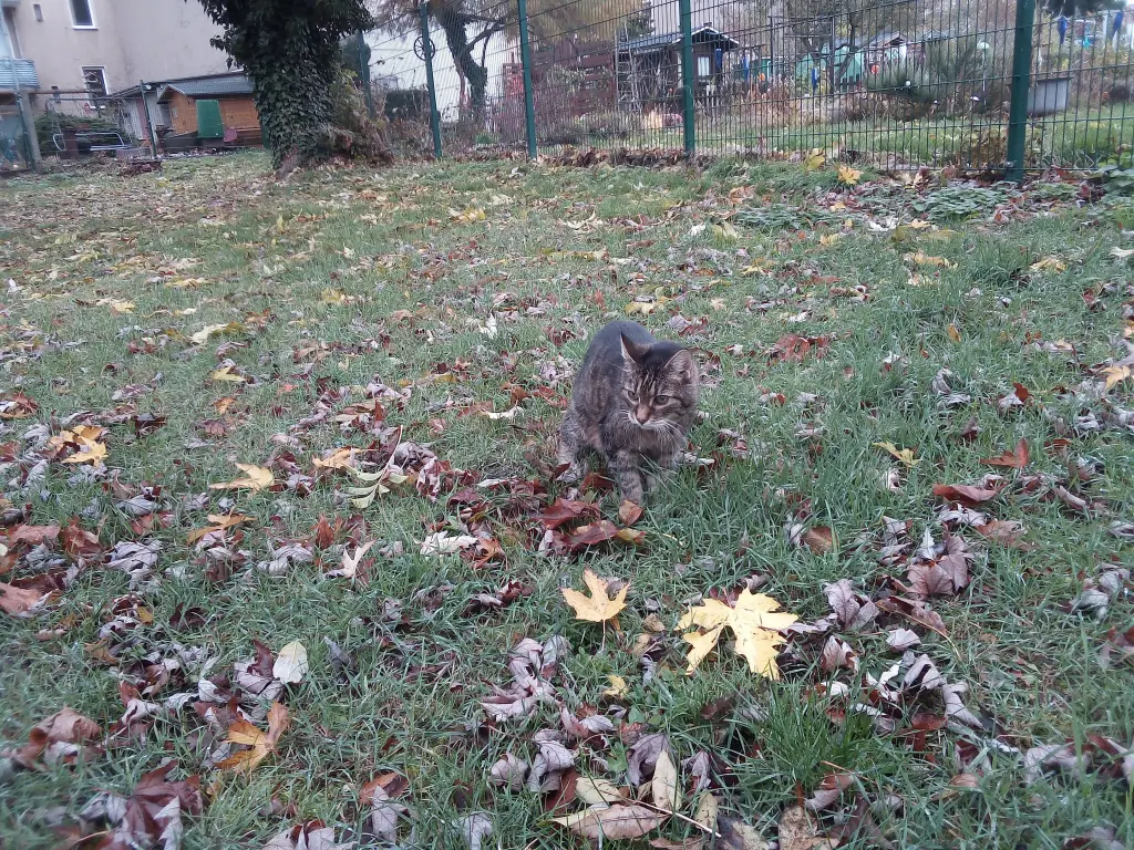 Andachtsbild von Für Dich mein kleiner Sonnenschein ♥️