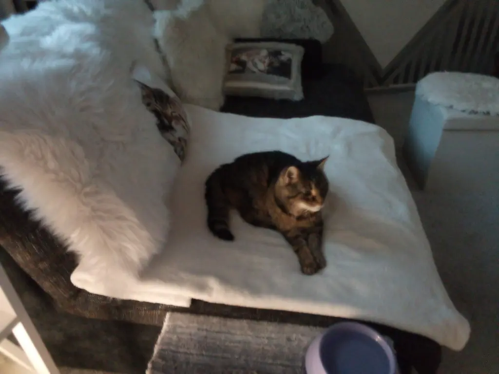 Andachtsbild von Für mein kleines Sonnele ❤️