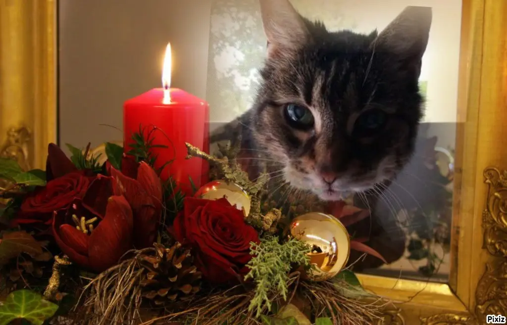 Andachtsbild von Patricia mit Bunny ❤️ 