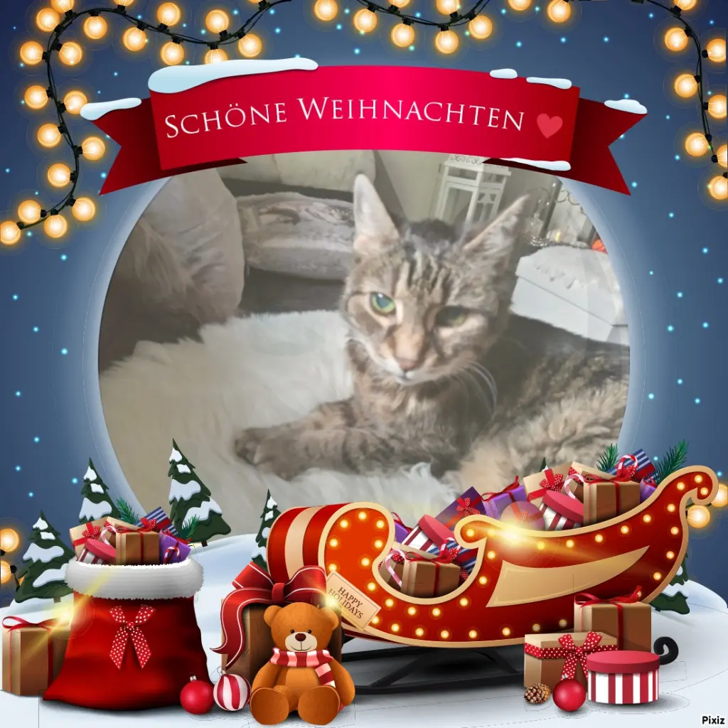 Andachtsbild von Mein allerliebstes kleines Puppikind ♥️