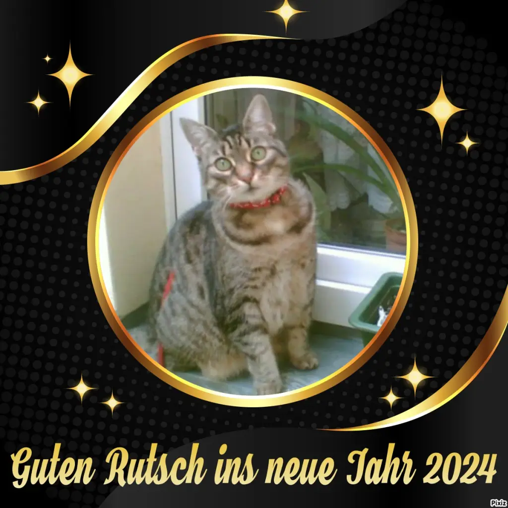 Andachtsbild von Tanja mit Timmy im Herzen 