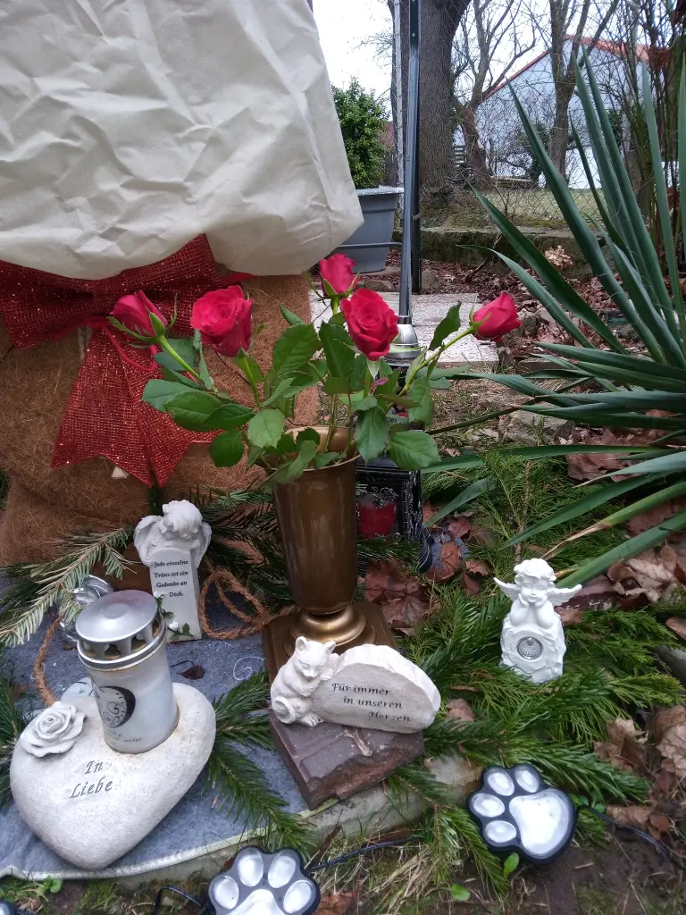 Andachtsbild von Für Dich mein kleines Flaumeli ♥️