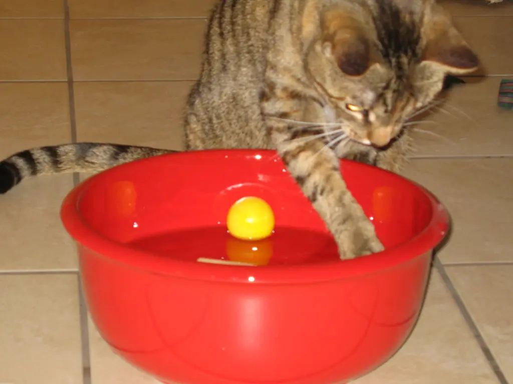 Andachtsbild von Sternchenpost ♥