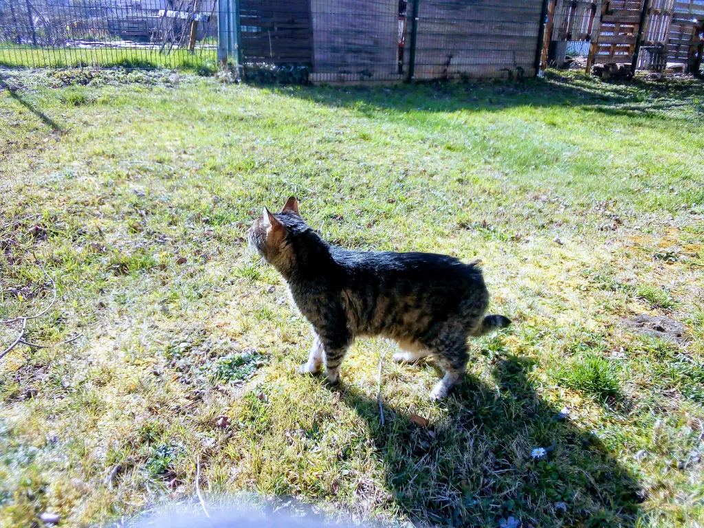 Andachtsbild von Für meinen süßen kleinen Sonnenschein ♥️