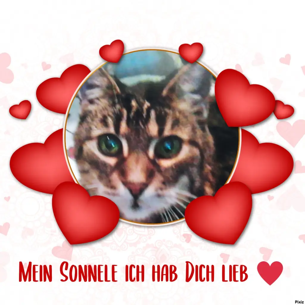 Andachtsbild von Für Dich mein kleiner Sonnenschein ♥️