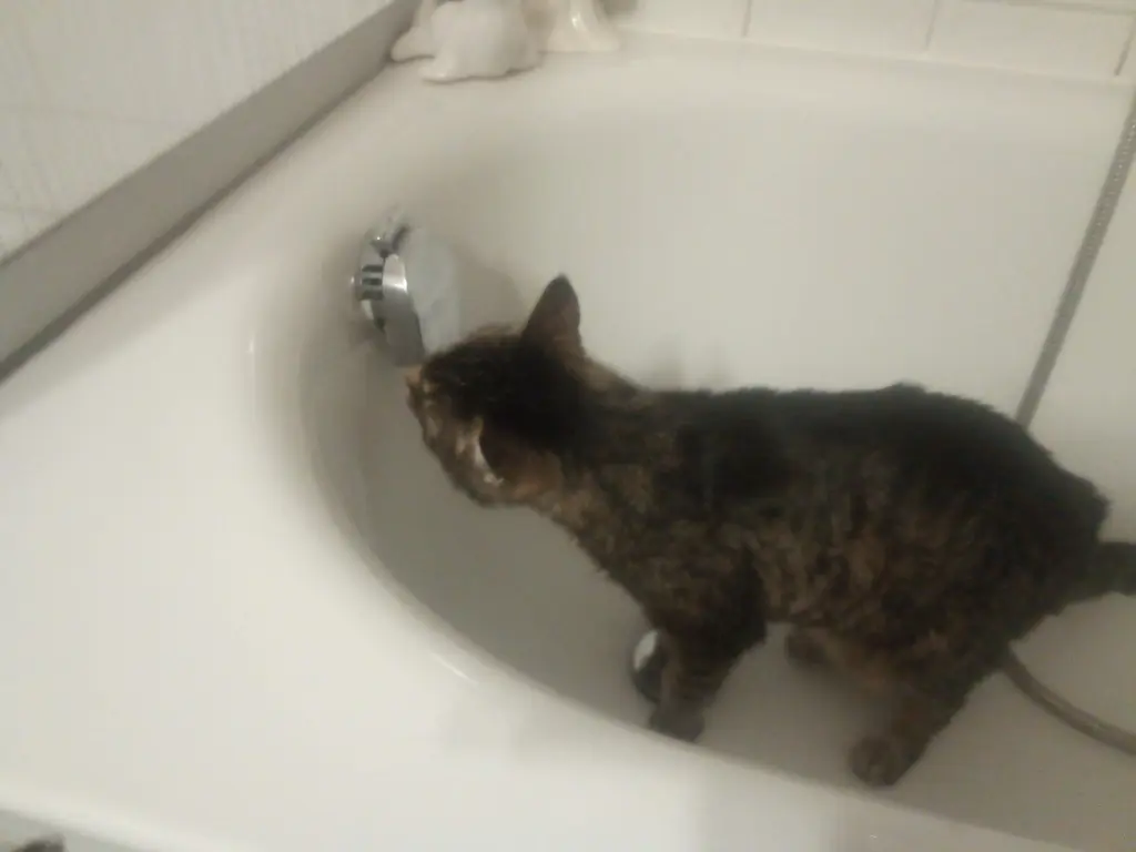 Andachtsbild von Für meinen allerliebsten kleinen Schatz ♥️