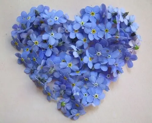 Andachtsbild von Für meinen kleinen Schatz ❤️❤️