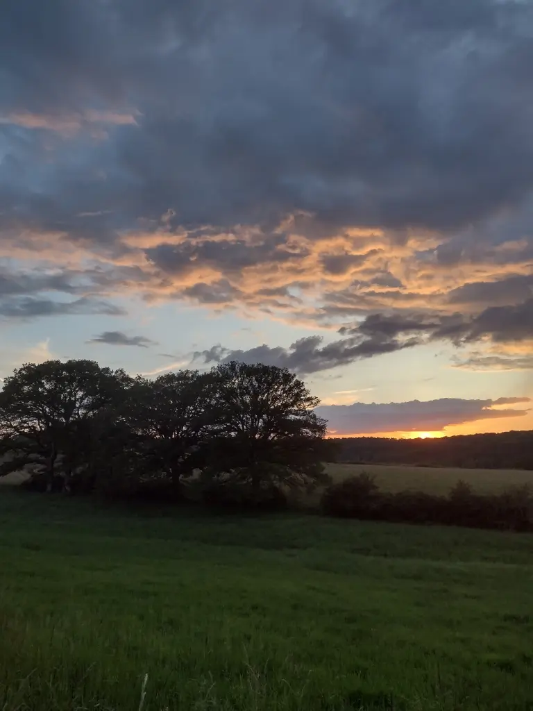 Andachtsbild von Corinna mit Emma, Jengi, Pummelchen und anderen Sternleine im Herzen