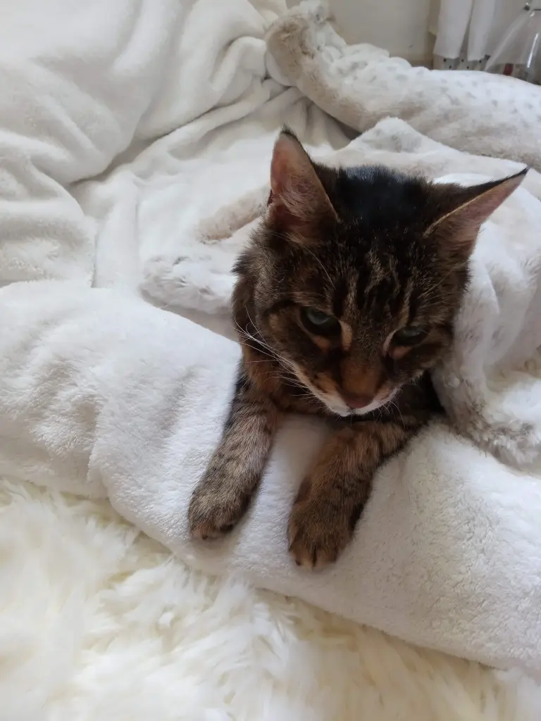 Andachtsbild von Für meinen allerliebsten kleinen Schatz ♥️