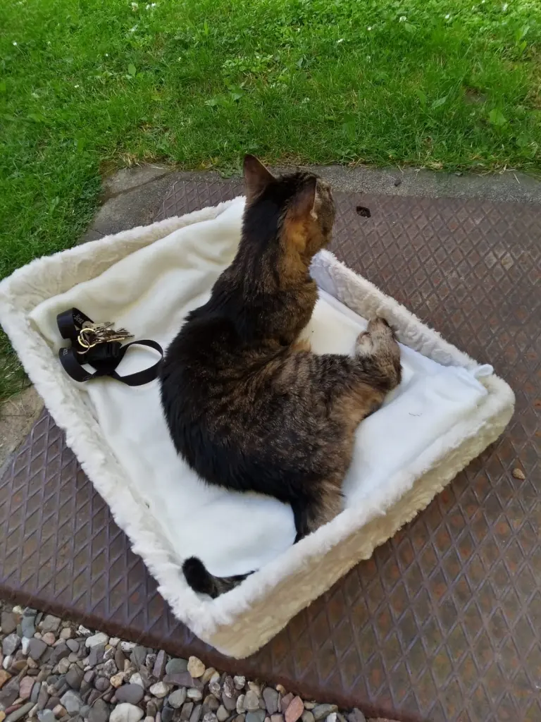 Andachtsbild von Für Dich meine Kleine ❤️