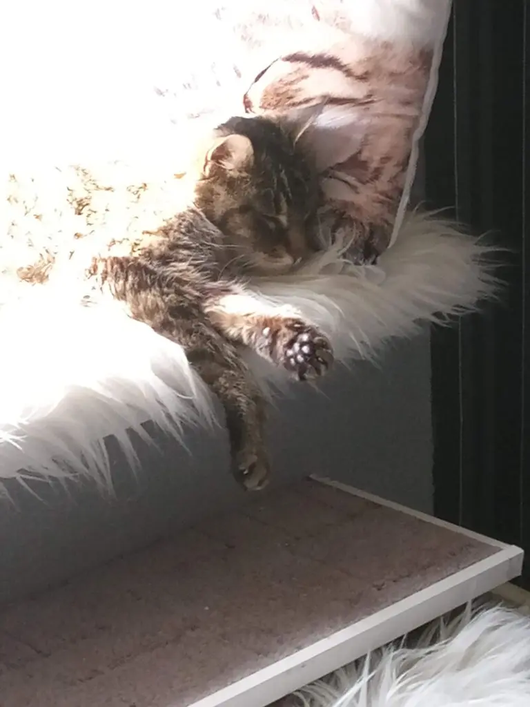 Andachtsbild von Für Dich mein kleines Sonnele ❤️