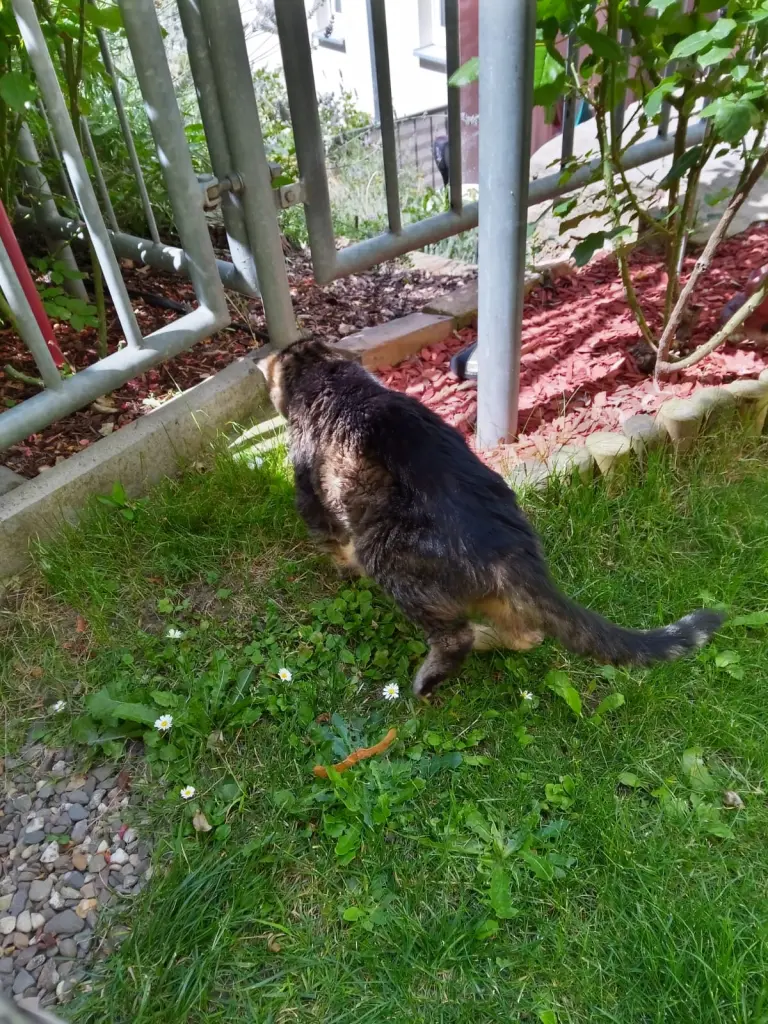 Andachtsbild von Für meine kleine Puppi ❤️