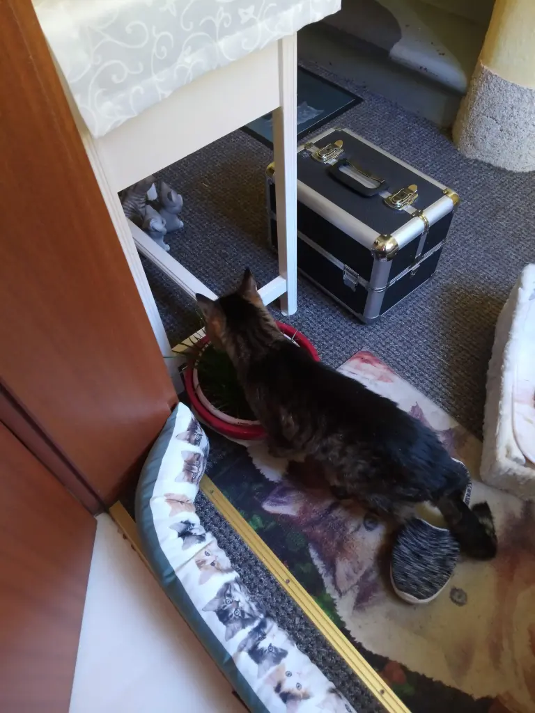 Andachtsbild von Für mein kleines Hummele ♥️