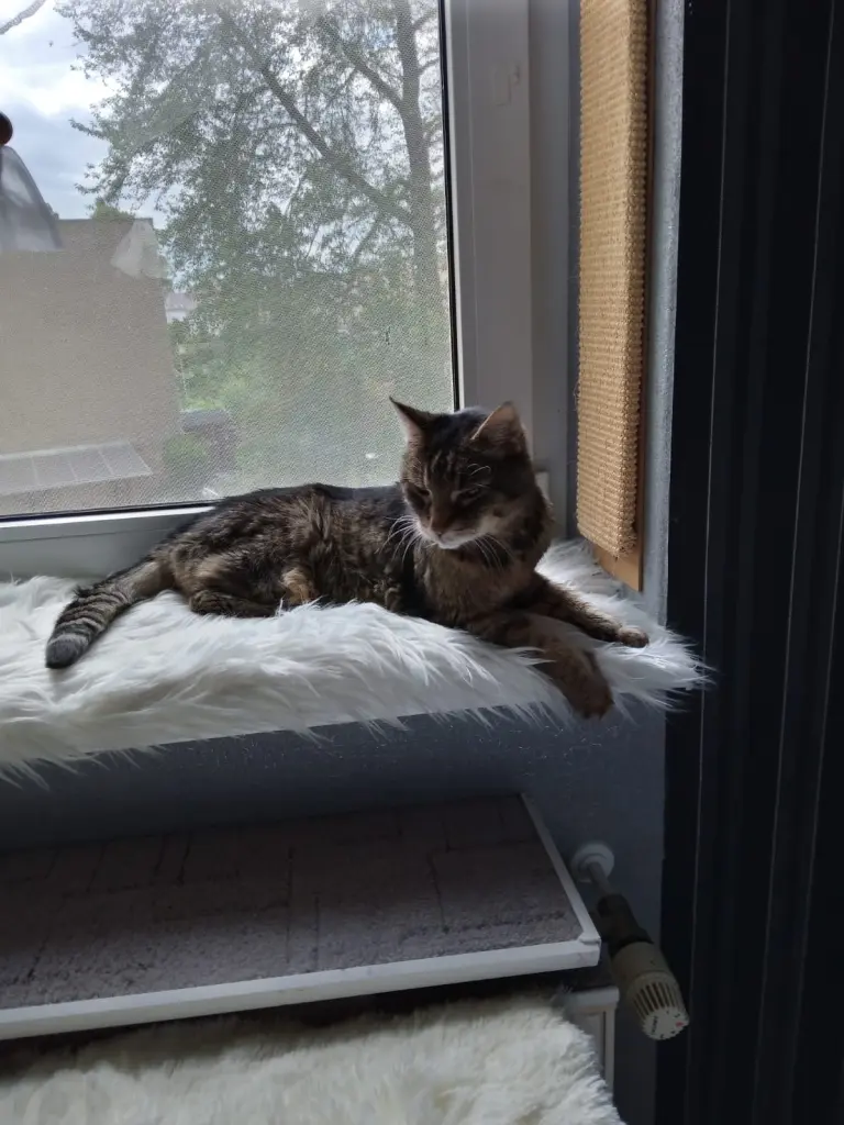 Andachtsbild von Für Dich mein kleiner Sonnenschein ♥️