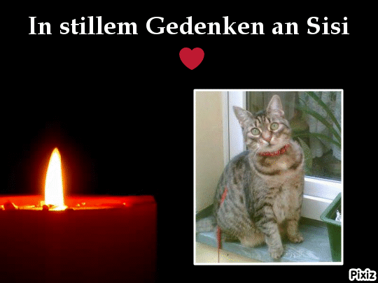 Andachtsbild von Tanja mit Timmy im Herzen 