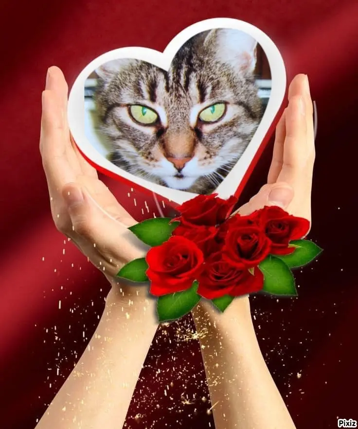 Andachtsbild von Für Dich - für immer - auf ewig ♥️