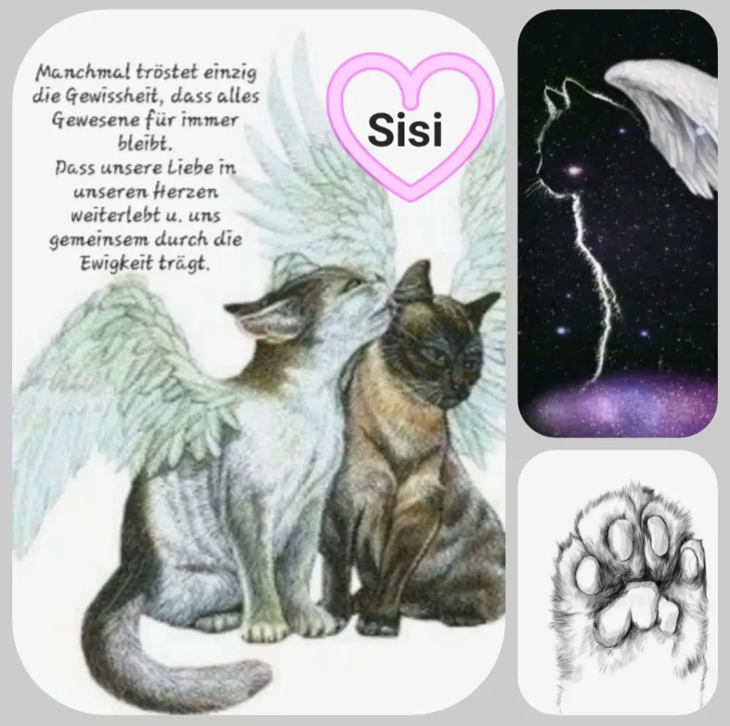 Andachtsbild von Birgit