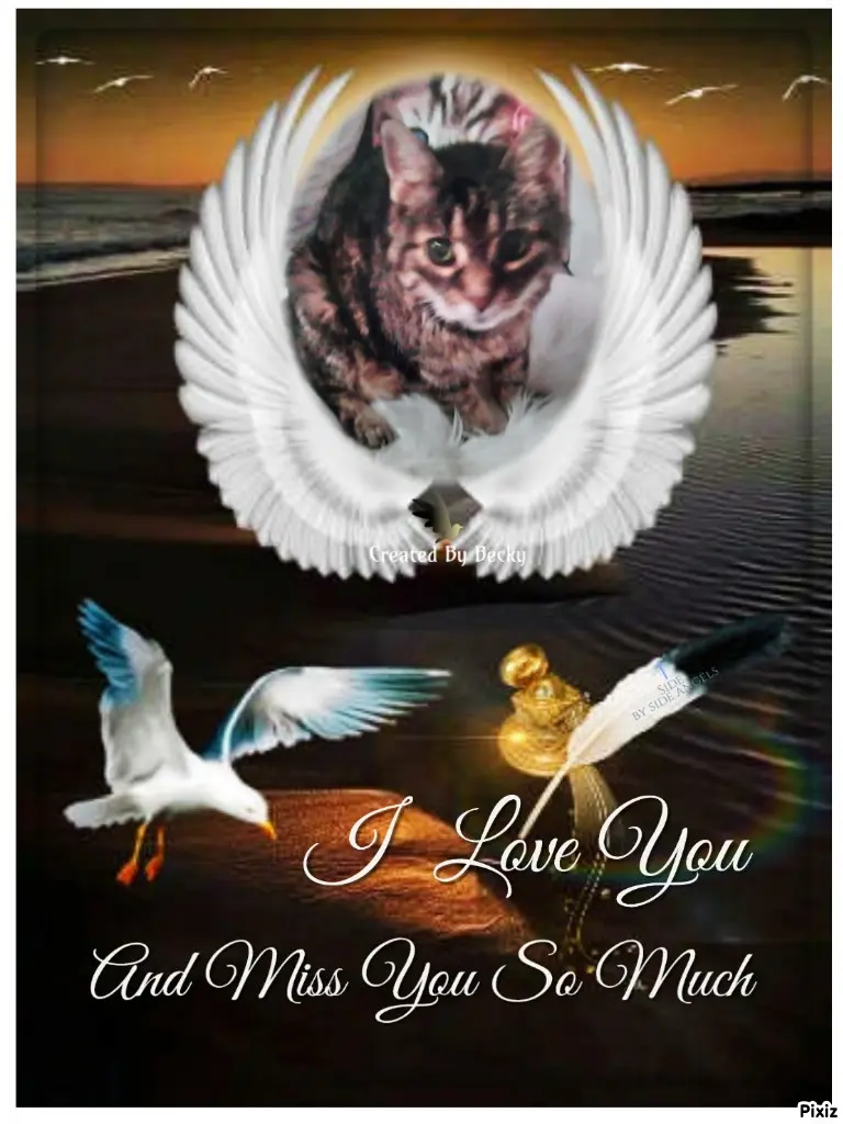 Andachtsbild von Für mein liebstes kleines Puppikind ♥️