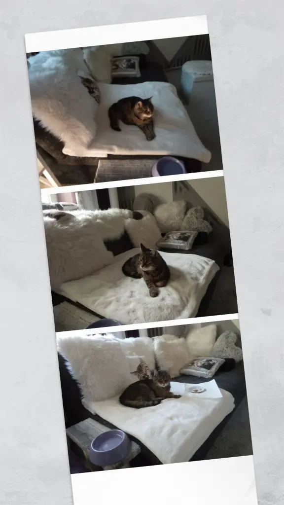 Andachtsbild von Für mein kleines Sonnele ❤️