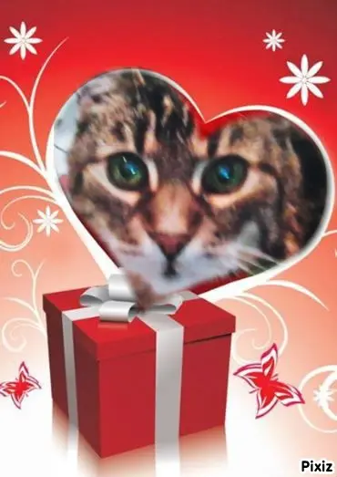 Andachtsbild von Für Dich mein allerliebstes kleines Sonnele ♥️