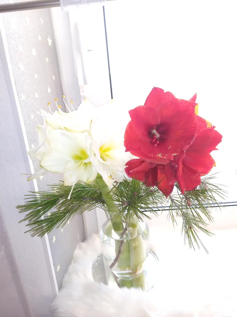 Andachtsbild von Mein geliebtes kleines Puppikind ♥️