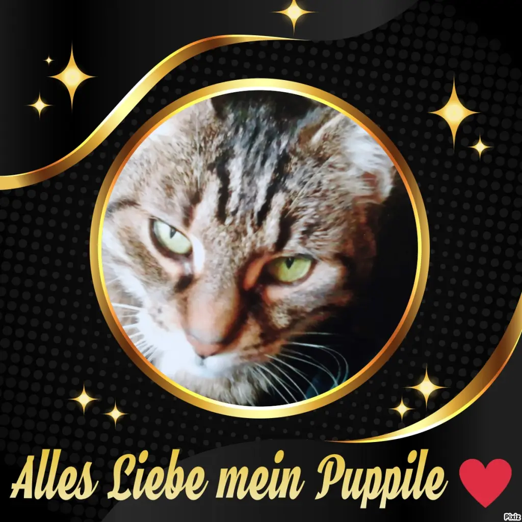 Andachtsbild von Happy neues Jahr für mein kleines Sonnele ♥️