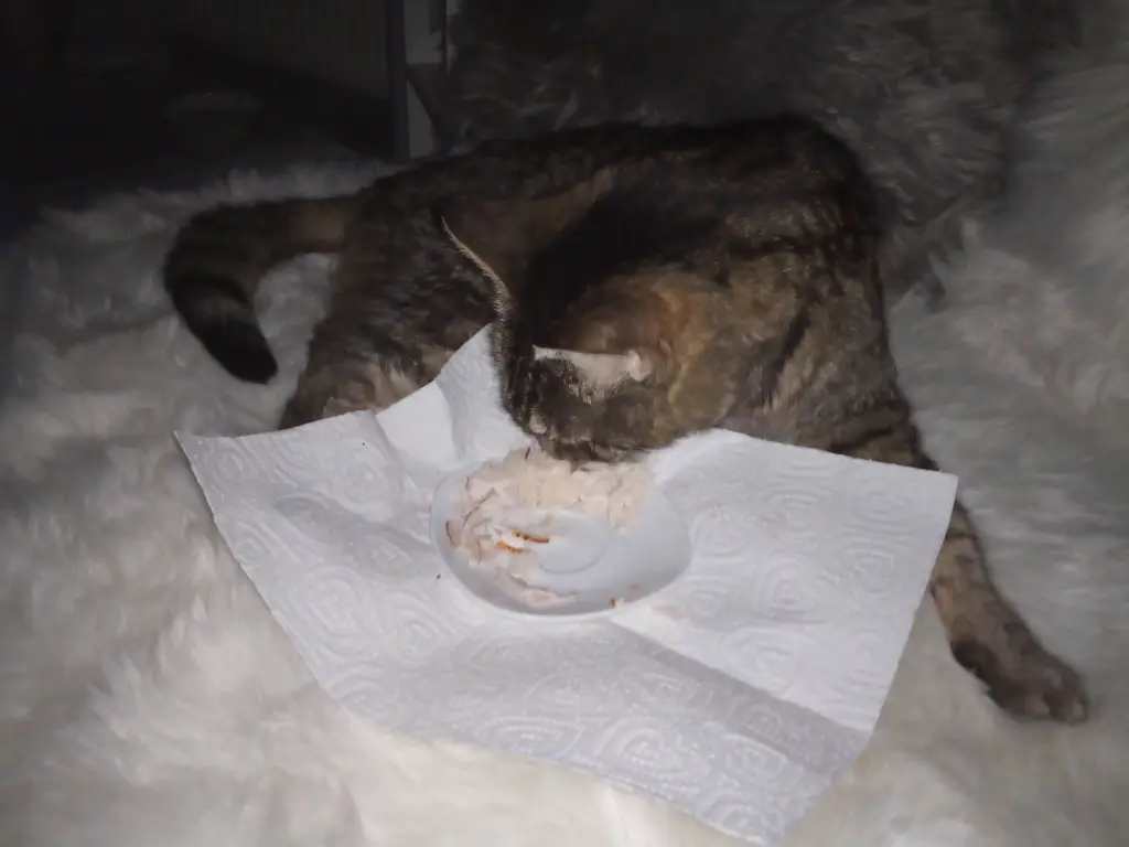 Andachtsbild von Mein kleines Sonnele... meine Süße ❤️