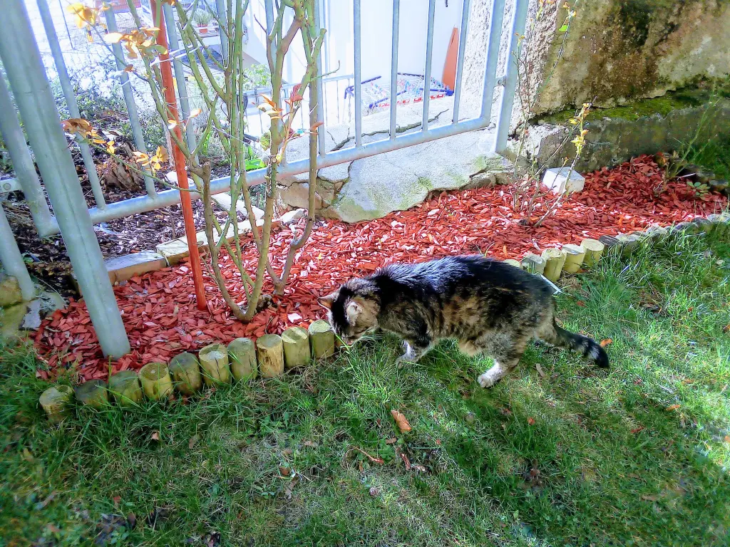 Andachtsbild von Unbekannt