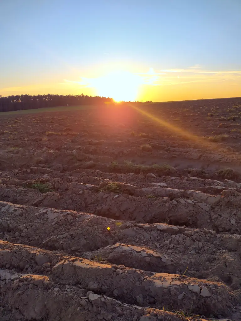 Andachtsbild von Corinna mit Emma, Vinni-Ved, Blacky, Linette, Jengi, Pummelchen und anderen Sternleine im Herzen