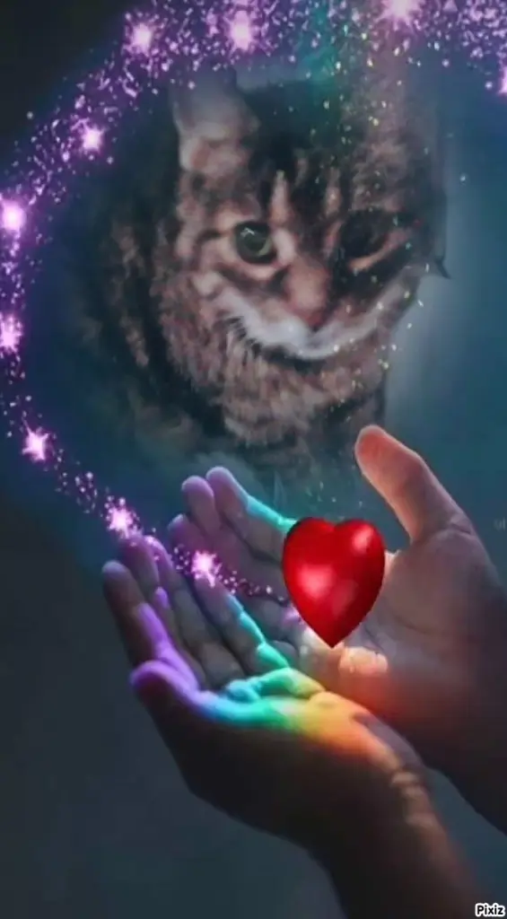 Andachtsbild von Für Dich mein allerliebstes kleines Puppikind ❤️