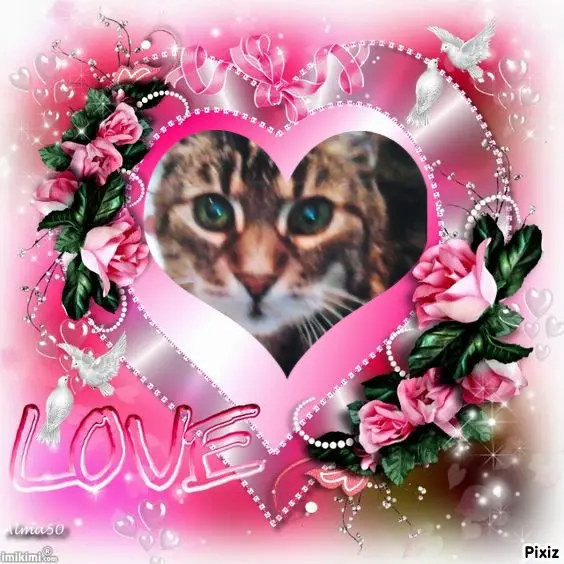 Andachtsbild von Für meinen allerliebsten kleinen Schatz ♥️