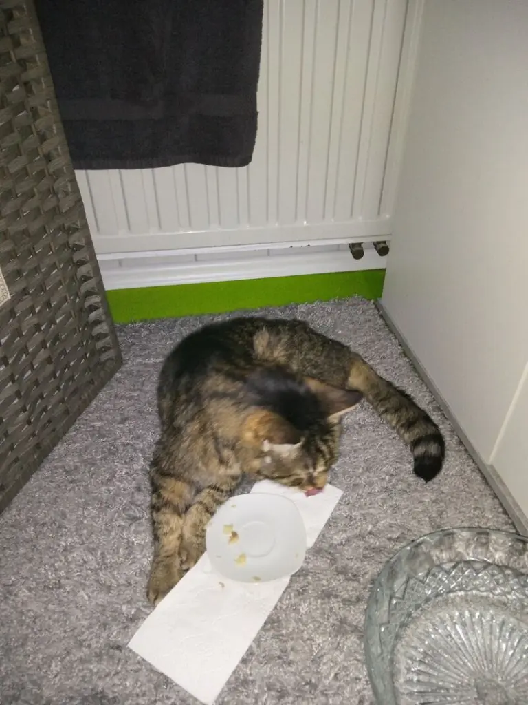 Andachtsbild von Unbekannt