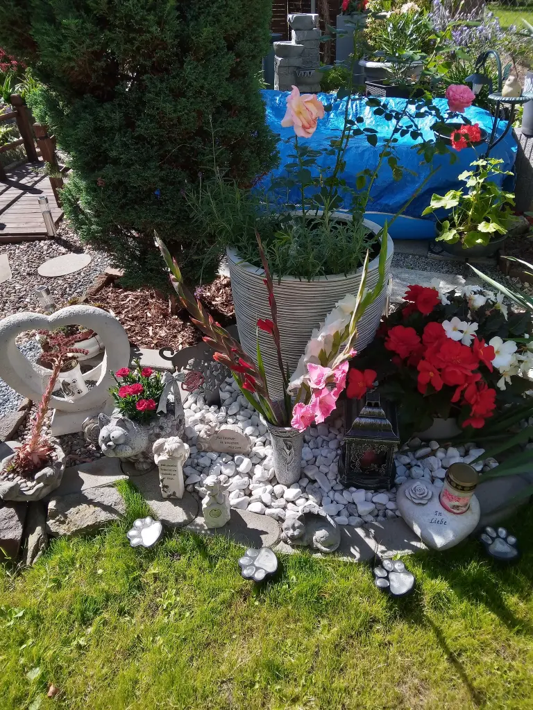 Andachtsbild von Für Dich mein kleines Sonnele ❤️