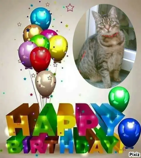 Andachtsbild von Tanja mit Timmy im Herzen