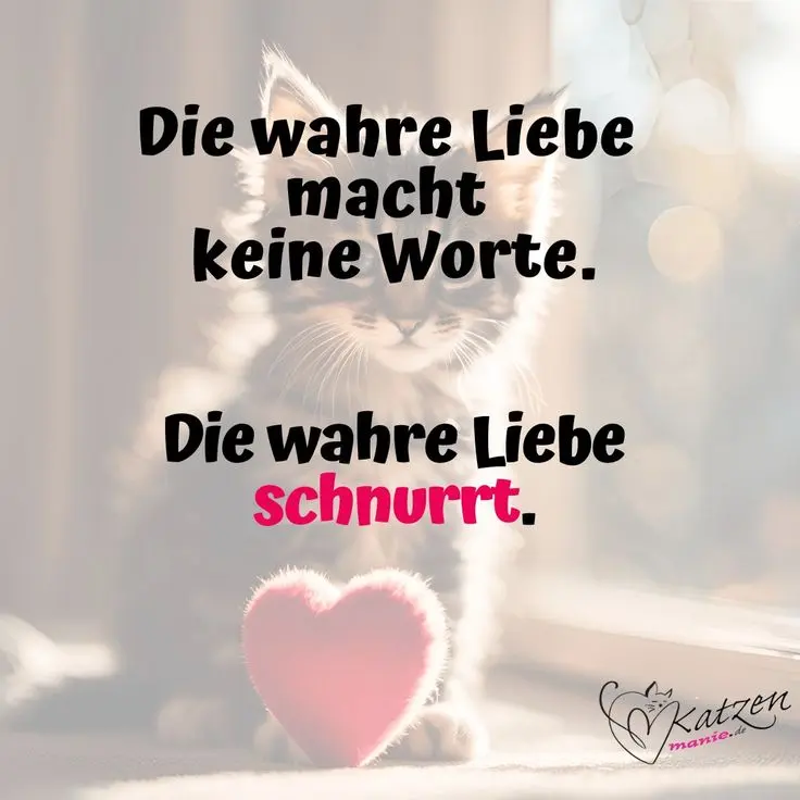 Andachtsbild von Für Dich meine kleine Puppimaus ♥️