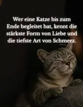 Andachtsbild von Elisabeth mit Arafat, Marple, Christie und Lisa im ♥♥♥♥