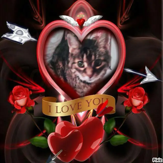 Condolence image of Mein liebes Sonnele für Dich❤️