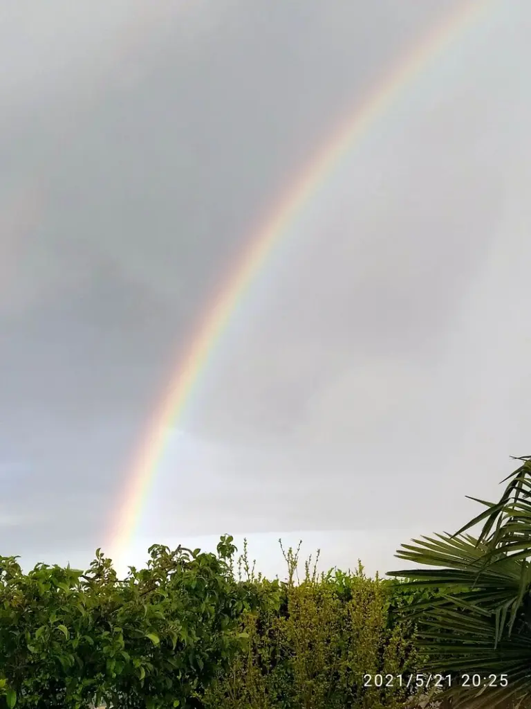 Condolence image of Gabi