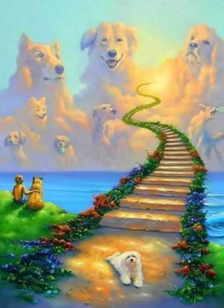 Condolence image of Gundi &Charlie Arndt