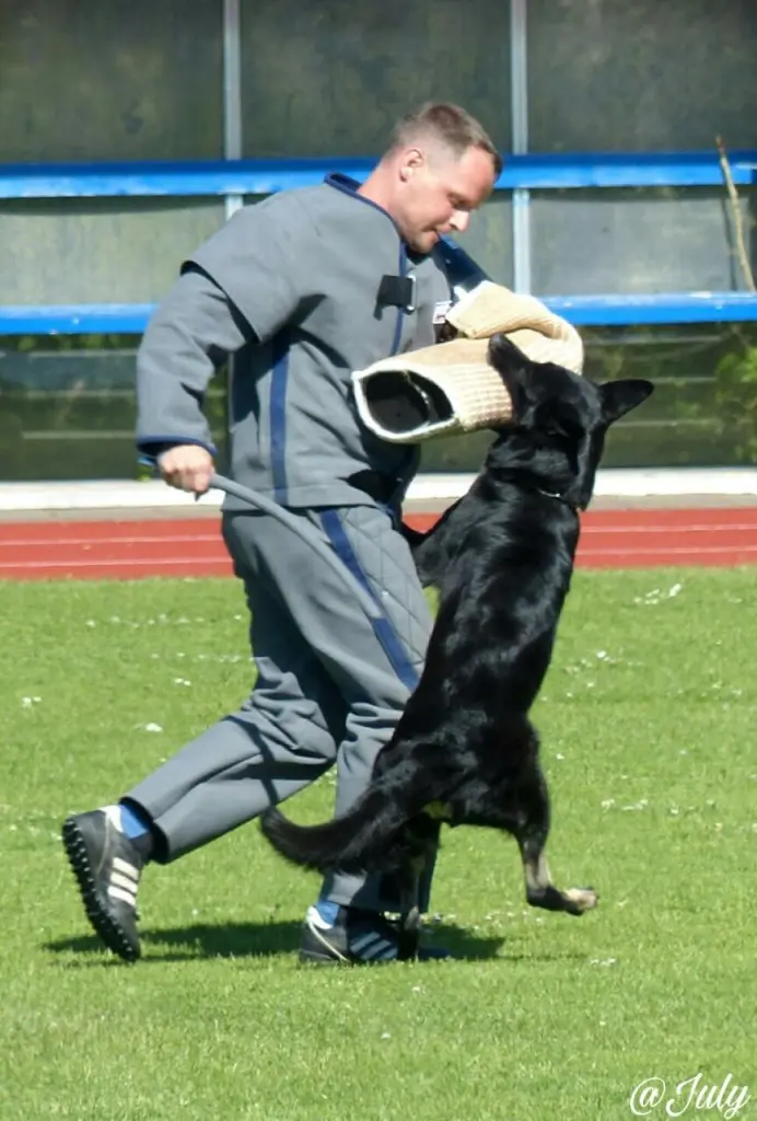 Image from Telly